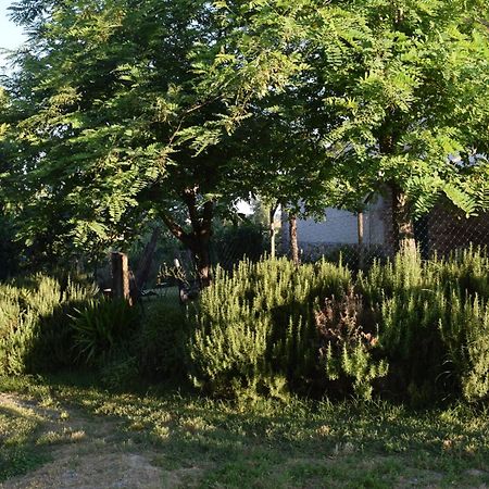 Il Saragio Villa Abbadia di Montepulciano Bagian luar foto