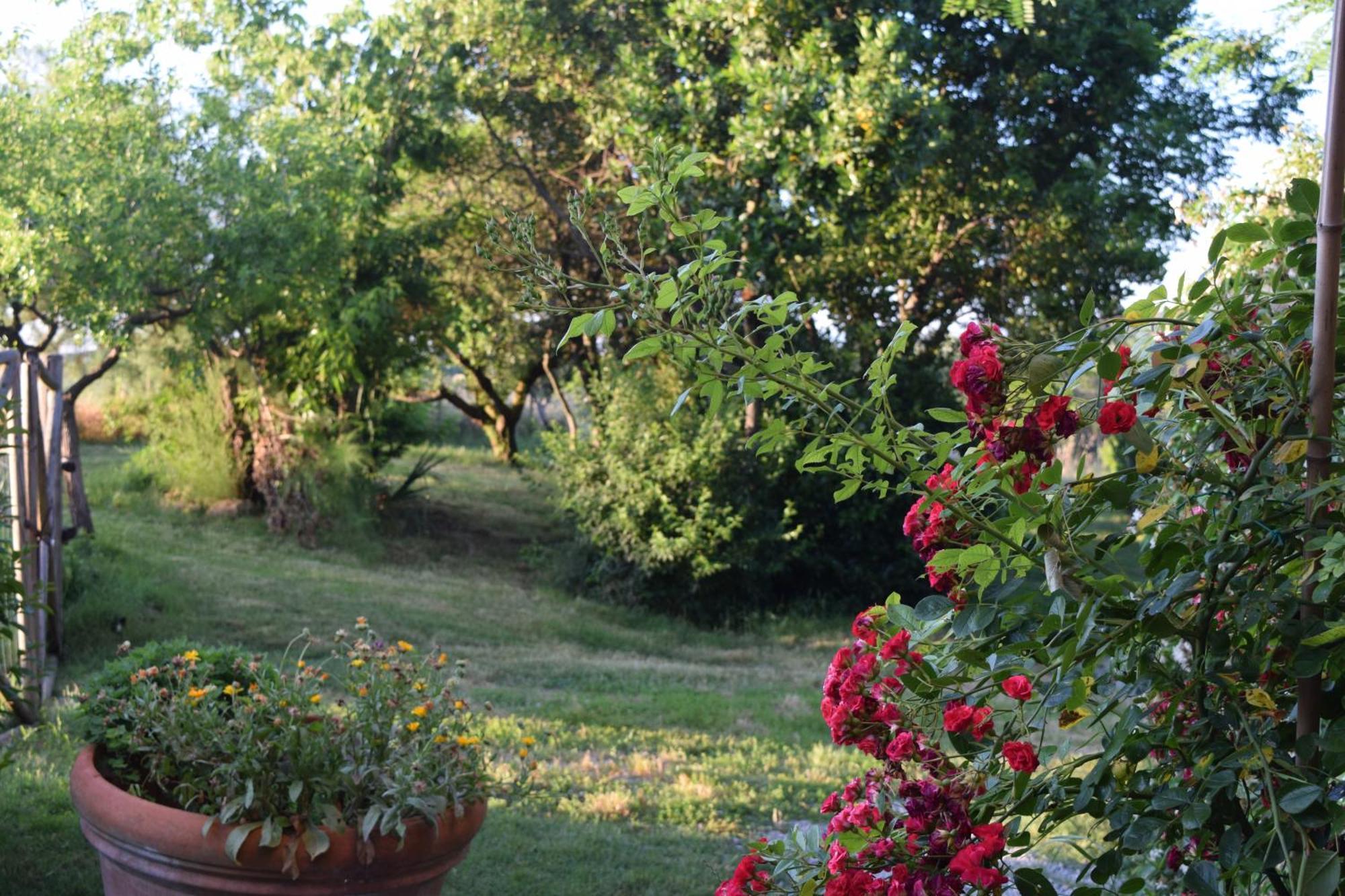 Il Saragio Villa Abbadia di Montepulciano Bagian luar foto