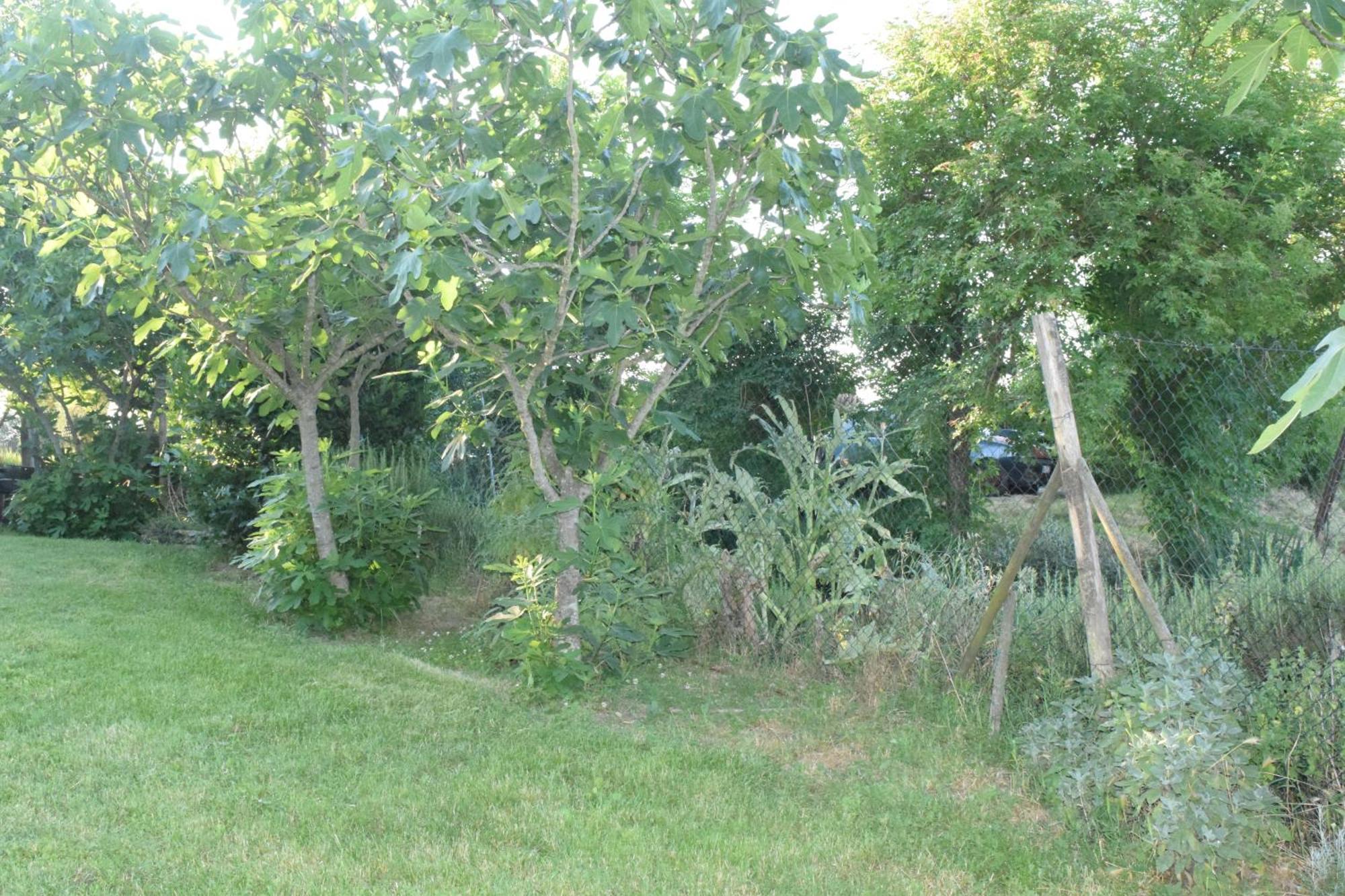 Il Saragio Villa Abbadia di Montepulciano Bagian luar foto