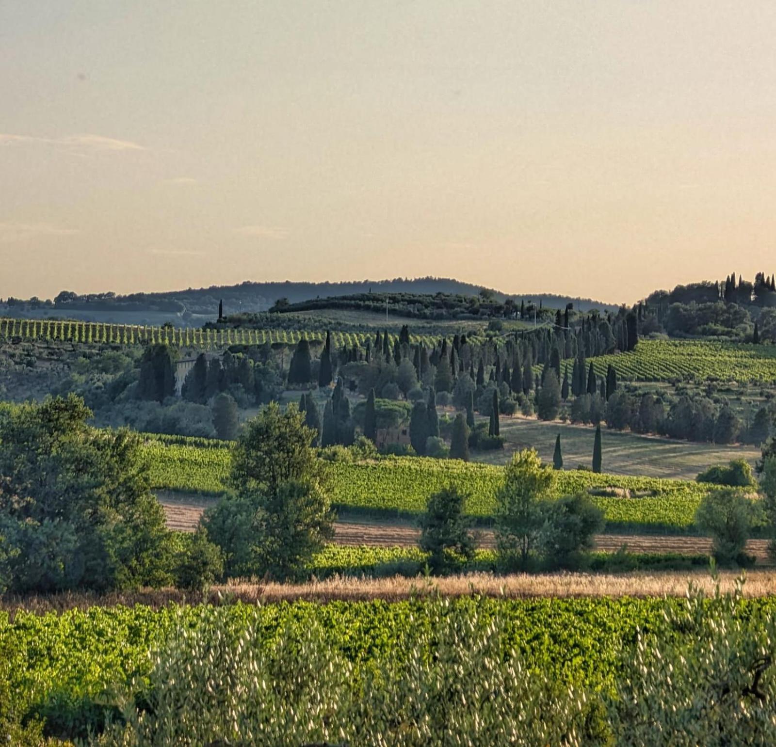 Il Saragio Villa Abbadia di Montepulciano Bagian luar foto