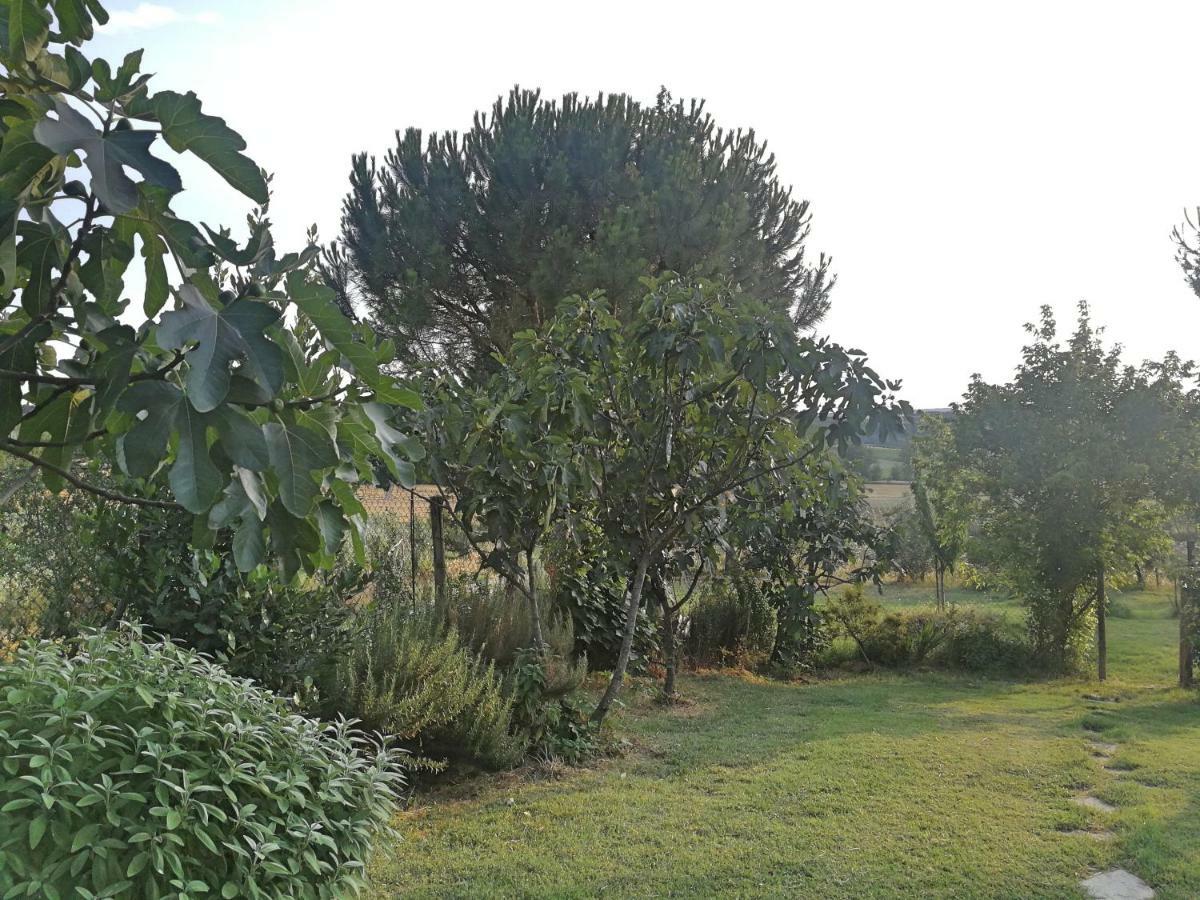 Il Saragio Villa Abbadia di Montepulciano Bagian luar foto